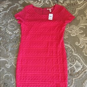 Jessica Simpson Maternity Dress NWT